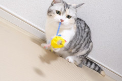 LINE_ALBUM_えるはるうい_260118_37