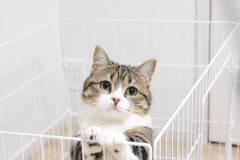 LINE_ALBUM_えるはるうい_260118_9