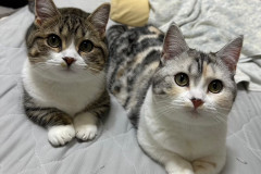 LINE_ALBUM_えるはる_260118_1