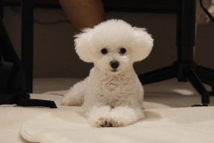 LINE_ALBUM_動物たちの恵。自然の恵。ありがたや。_260118_28