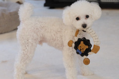 LINE_ALBUM_最近寒くなってきたねぇアルバム_251012_13