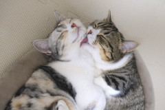 LINE_ALBUM_20240420_260118_29