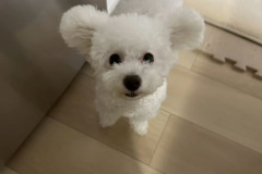 LINE_ALBUM_20251004_260118_1