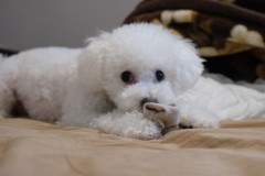 LINE_ALBUM_20251004_260118_20