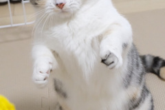 View-recent-photos-5